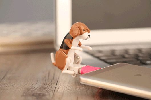 USB Humping Dog