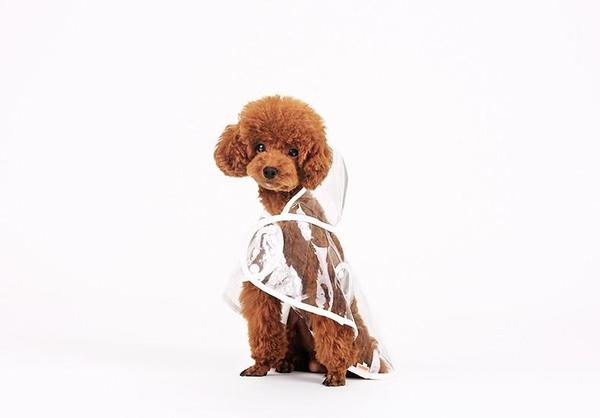Cute Doggy Raincoat
