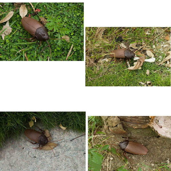 Remote Controlled Cockroach
