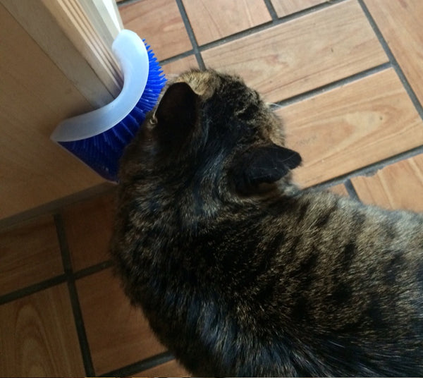 Cat Self-Grooming Brush + FREE Catnip