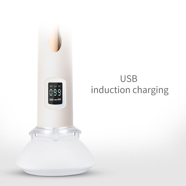 HERE-MEGA Intelligent LCD Sonic Electric Toothbrush Maglev Induction Third Gear Adjustment Intelligent Whitening Toothbrush 608