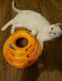 Triple Level Cat Toy