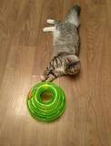 Triple Level Cat Toy