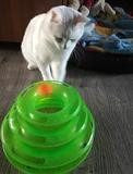 Triple Level Cat Toy