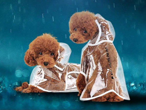 Cute Doggy Raincoat