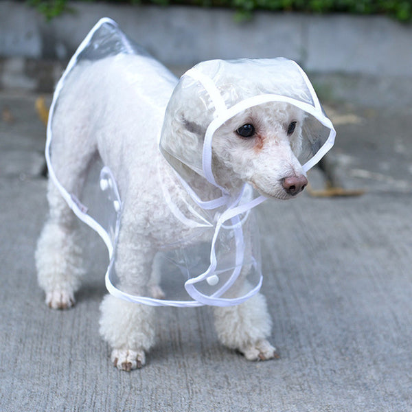 Cute Doggy Raincoat