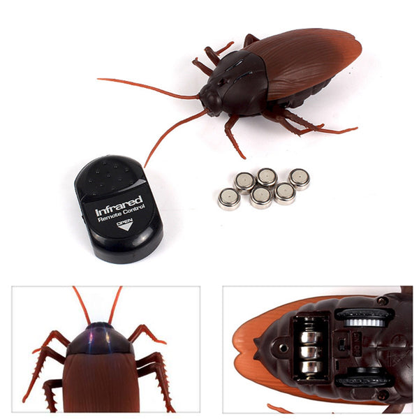 Remote Controlled Cockroach